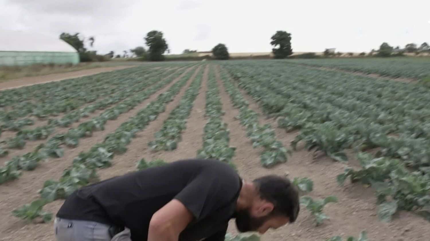 Le gouvernement annonce un plan d'aide pour les agriculteurs face à la sécheresse